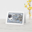 Search for contentions cards Contentment
