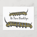 Search for monarch postcards Insect
