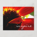 Search for gerberas postcards Red
