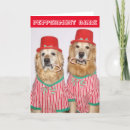 Search for peppermints cards Sweet