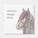 Search for morgans magnets Horse