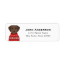 Search for chocolate labrador return address labels Brown