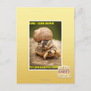 Search for omg postcards I can has cheezburger
