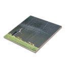 Search for fish pond tiles Water