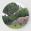 Search for tanzania Landscape
