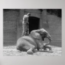 Search for zoo posters Retro
