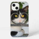 Search for curious cat iphone cases Funny