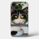 Search for curious cat iphone cases Funny