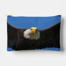 Search for bald eagle accessories Haliaeetus leucocephalus