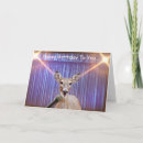 Search for spotlight cards Cute