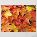 Search for leaves scrapbook paper Scrapbooking