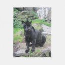 Search for black panther blankets Panthers