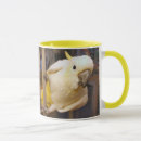 Search for sulphur mugs Parrot