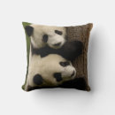 Search for giant panda cushions Asia