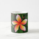 Search for frangipani flowers mugs Green