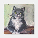 Search for realist magnets Cat