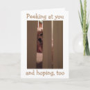 Search for secret admirer cards Romance