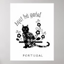 Search for gato posters Kitten