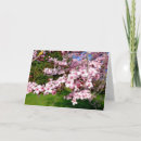 Search for cherry blossom tree cards Sakura