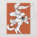 Search for tune postcards Loney toons coyote
