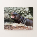 Search for hippo puzzles Zoo
