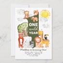 Search for one wild year 1st first birthday