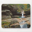 Search for mountain mouse mats Foliage