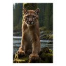 Search for big cat posters Puma