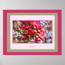 Search for crabapples posters Blossoms