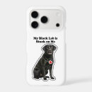 Search for my dog electronics Labrador retriever