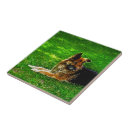 Search for mans tiles Dog