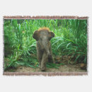 Search for elephant photo blankets Animals