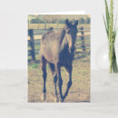 Search for friendly cards Horse