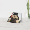 Search for dog mom christmas cards Funny