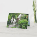 Search for juvenile cards Wildlife photography