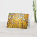 Search for sierra cards Forest