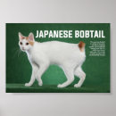 Search for japanese bobtail cat posters Cats