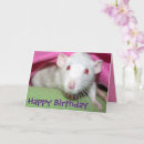 Search for white rat cards Ratties