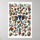 Search for vintage french kitchen posters Antique