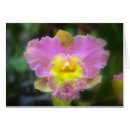 Search for cattleya orchid postcards Pink