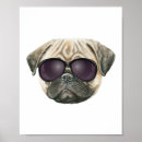 Search for cute bulldog posters Puppy