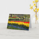 Search for keukenhof Holland