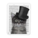 Search for cat magnets Animal lovers