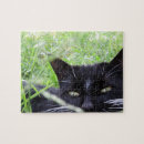 Search for pet puzzles Family fun