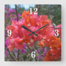 Search for bougainvillea art Tropical