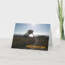 Search for cypress cards Ocean