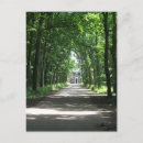 Search for road tree postcards Lane