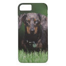 Search for dapple iphone cases Dachshund