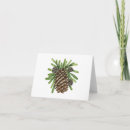 Search for pine cards Outdoors