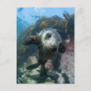 Search for cute beach postcards Sea